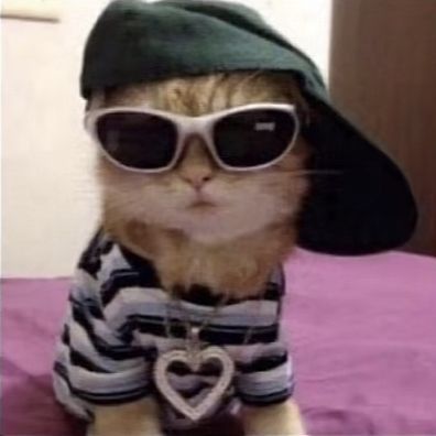 Hallow Bot's avatar — a cat wearing sunglasses, a bucket hat, and a heart necklace